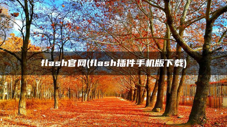 flash官网(flash插件手机版下载)