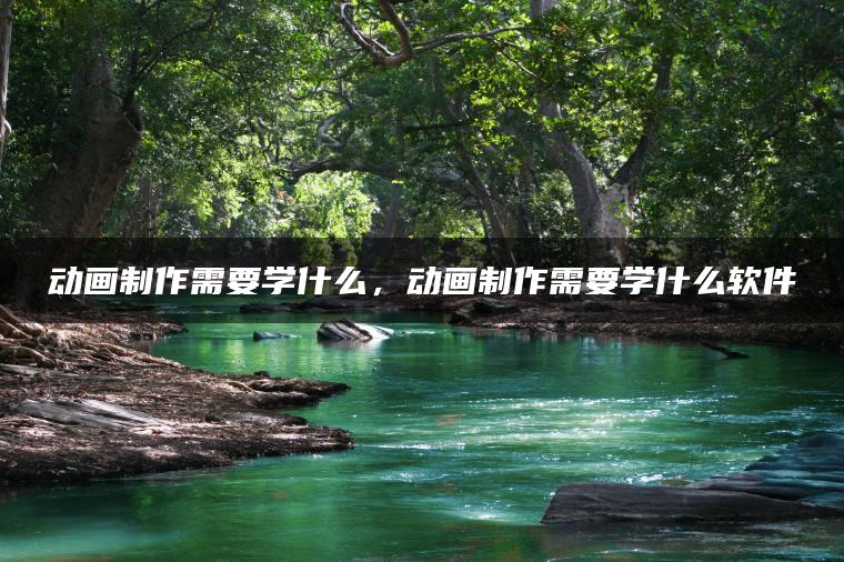 动画制作需要学什么，动画制作需要学什么软件