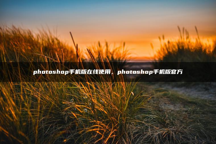 photoshop手机版在线使用，photoshop手机版官方