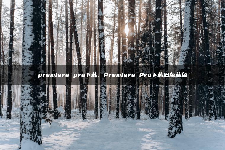 premiere pro下载，Premiere Pro下载旧版蓝色