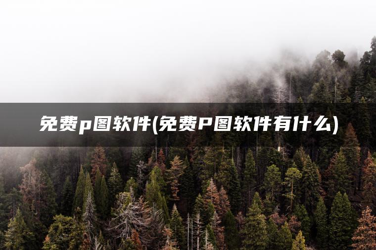免费p图软件(免费P图软件有什么)