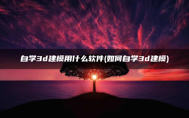 自学3d建模用什么软件(如何自学3d建模)