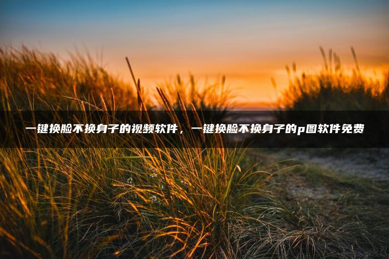 一键换脸不换身子的视频软件，一键换脸不换身子的p图软件免费