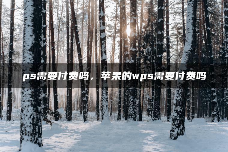 ps需要付费吗，苹果的wps需要付费吗