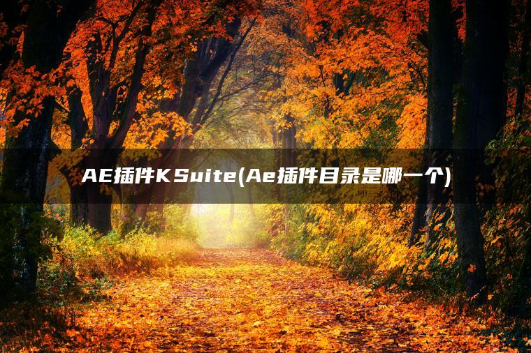 AE插件KSuite(Ae插件目录是哪一个)
