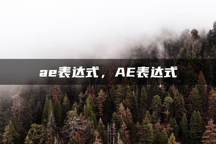 图片[1] | ae表达式，AE表达式 | ae插件合集
