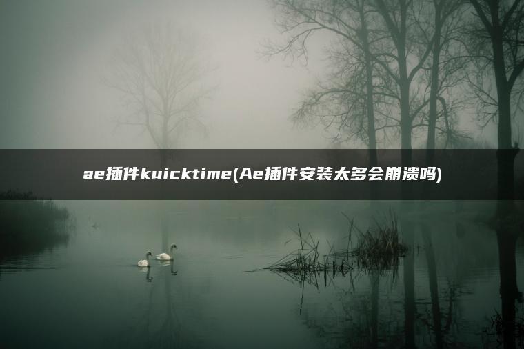 ae插件kuicktime(Ae插件安装太多会崩溃吗)