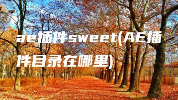 ae插件sweet(AE插件目录在哪里) | ae插件合集