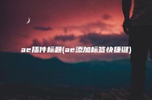 ae插件标题(ae添加标签快捷键) | ae插件合集