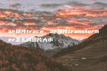 ae插件trace，ae插件transformer怎么调图片大小 | ae插件合集