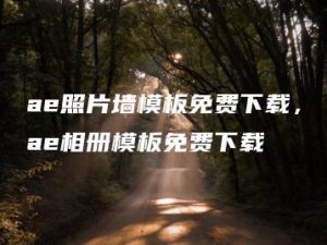 ae照片墙模板免费下载，ae相册模板免费下载 | ae插件合集