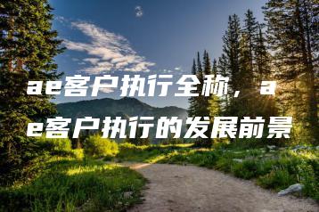 ae客户执行全称，ae客户执行的发展前景 | ae插件合集