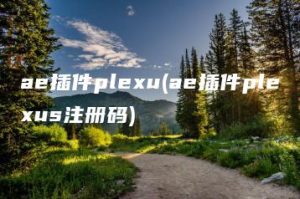 ae插件plexu(ae插件plexus注册码) | ae插件合集