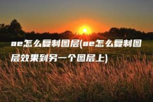 ae怎么复制图层(ae怎么复制图层效果到另一个图层上) | ae插件合集