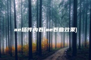 ae插件内卷(ae卷曲效果) | ae插件合集