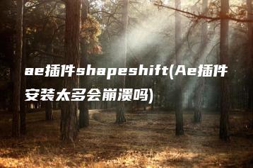 ae插件shapeshift(Ae插件安装太多会崩溃吗) | ae插件合集