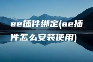 ae插件绑定(ae插件怎么安装使用) | ae插件合集