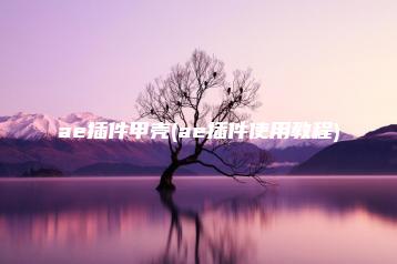 ae插件甲壳(ae插件使用教程) | ae插件合集