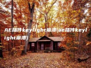 AE插件keylight崩溃(ae插件keylight崩溃) | ae插件合集