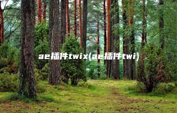 ae插件twix(ae插件twi) | ae插件合集