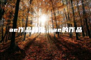 ae作品网站，ae的作品 | ae插件合集