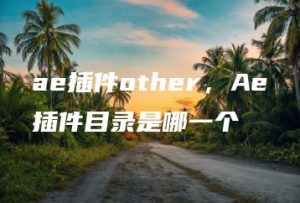 ae插件other，Ae插件目录是哪一个 | ae插件合集
