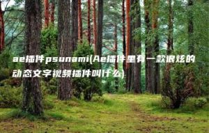 ae插件psunami(Ae插件里有一款很炫的动态文字视频插件叫什么) | ae插件合集