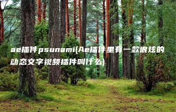 ae插件psunami(Ae插件里有一款很炫的动态文字视频插件叫什么) | ae插件合集