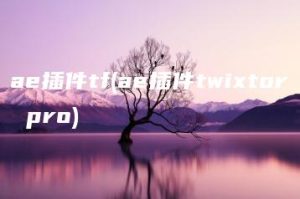ae插件tf(ae插件twixtor pro) | ae插件合集