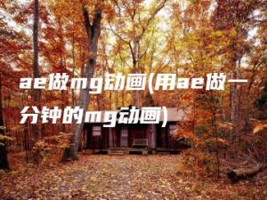 ae做mg动画(用ae做一分钟的mg动画) | ae插件合集