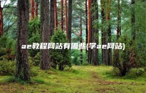 ae教程网站有哪些(学ae网站) | ae插件合集