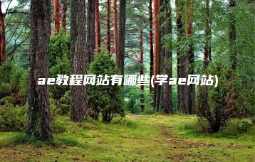 ae教程网站有哪些(学ae网站) | ae插件合集