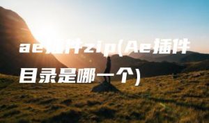 ae插件zip(Ae插件目录是哪一个) | ae插件合集