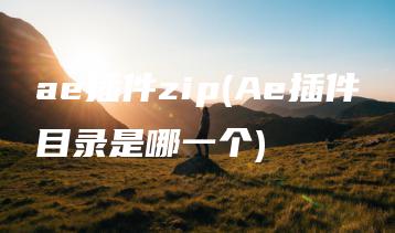 ae插件zip(Ae插件目录是哪一个) | ae插件合集