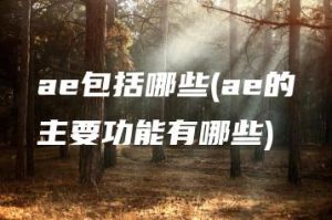 ae包括哪些(ae的主要功能有哪些) | ae插件合集