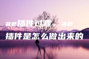 ae插件过程，ae插件是怎么做出来的 | ae插件合集