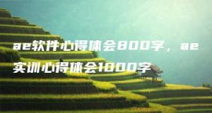ae软件心得体会800字，ae实训心得体会1000字 | ae插件合集