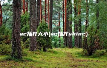 ae插件大小(ae插件shine) | ae插件合集