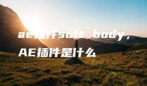ae插件soft body，AE插件是什么 | ae插件合集