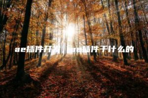 ae插件开发，ae插件干什么的 | ae插件合集