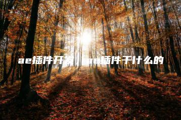 ae插件开发，ae插件干什么的 | ae插件合集