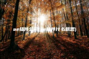 ae插件公司(ae插件什么意思) | ae插件合集