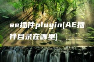 ae插件plugin(AE插件目录在哪里) | ae插件合集