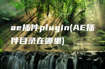 ae插件plugin(AE插件目录在哪里) | ae插件合集