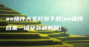 ae插件大全打包下载(ae插件合集一键安装破解版) | ae插件合集