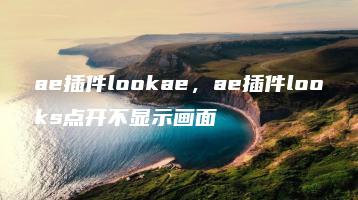 ae插件lookae，ae插件looks点开不显示画面 | ae插件合集