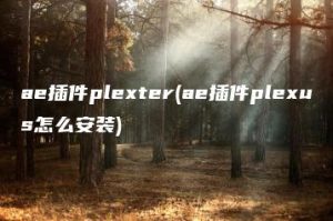 ae插件plexter(ae插件plexus怎么安装) | ae插件合集