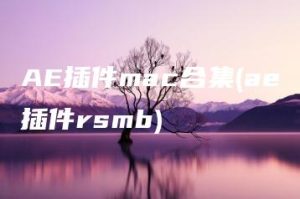 AE插件mac合集(ae插件rsmb) | ae插件合集
