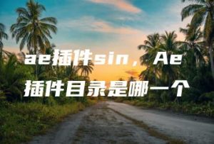 ae插件sin，Ae插件目录是哪一个 | ae插件合集