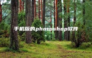 手机版的photoshop软件 | ae插件合集